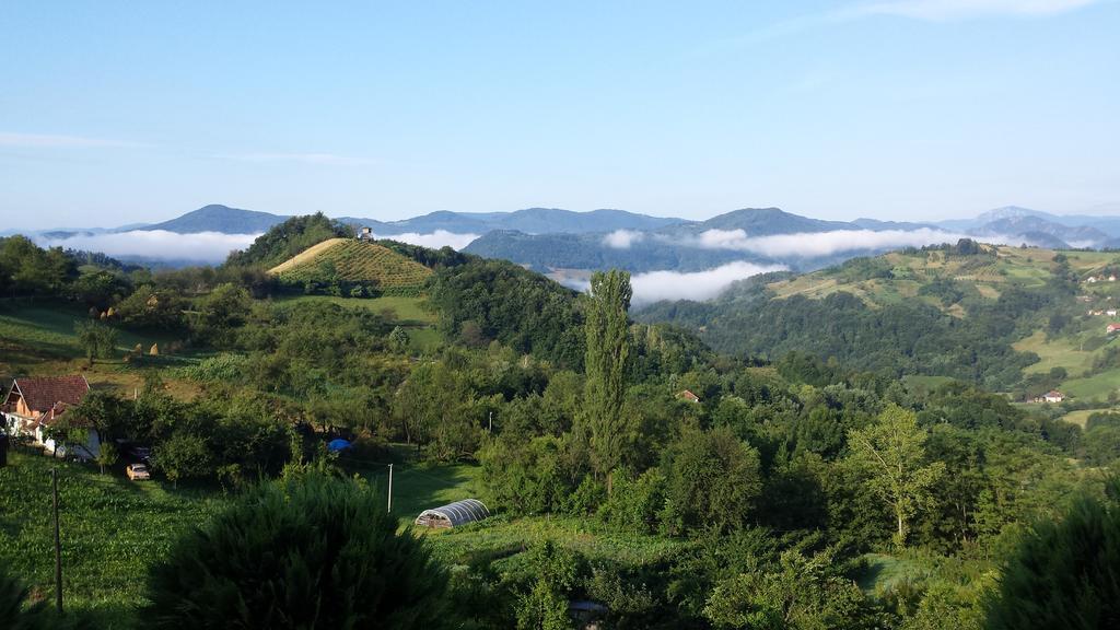 Lux Smestaj Ivanjicki Konaci Ivanjica Chambre photo